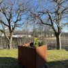 Blomsterkasser - Corten - Bilde 4